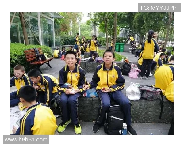 加沙与托拉卡的对决：历史背景与未来展望的深度分析